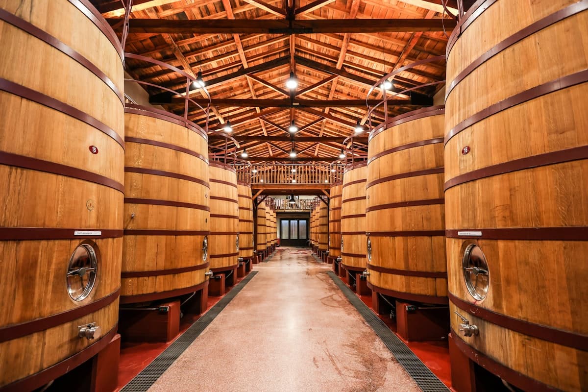 Haro: conheça a história fascinante e os segredos da capital do Rioja